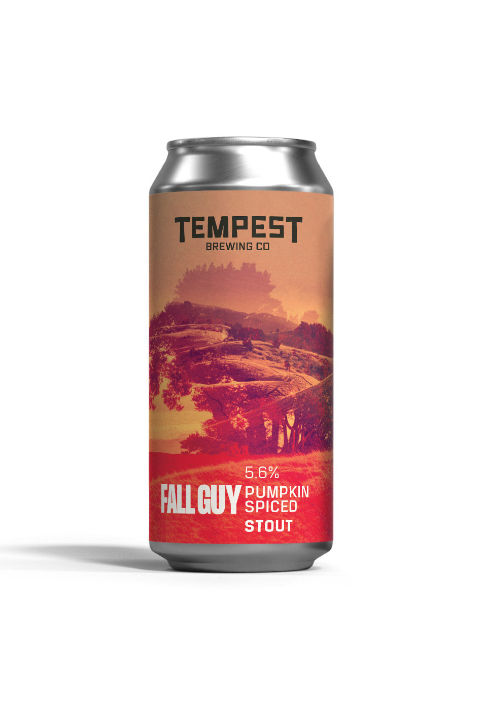 FALL GUY
